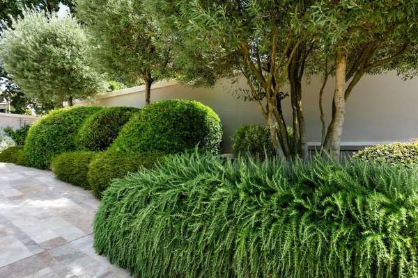 La corte di travertino, giardino privato a Palestrina (2024) — fotografia 10 di 10